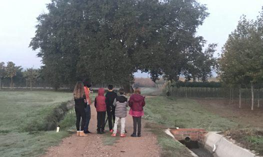 Students filmin ourdoors during the workshop